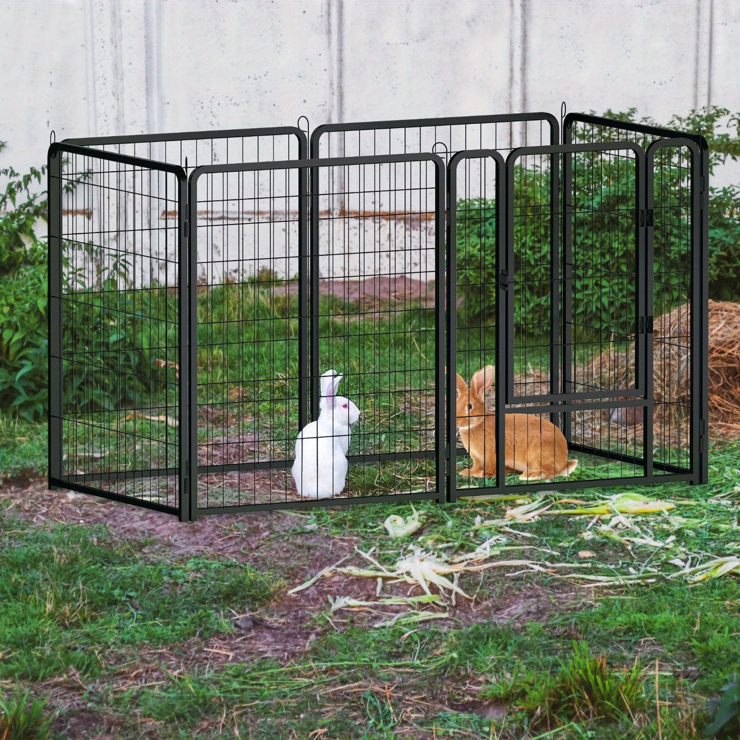 image7